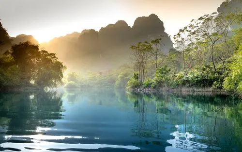 科技科技